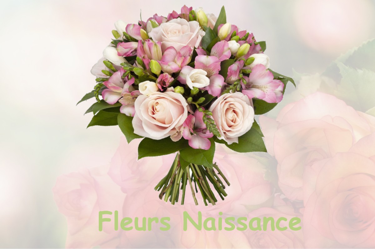 fleurs naissance BARRETAINE