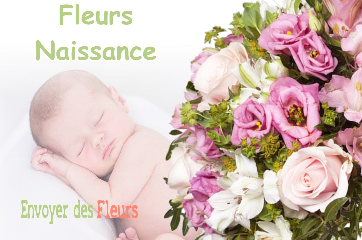 lIVRAISON FLEURS NAISSANCE à BARRETAINE